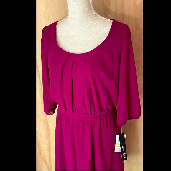 Sequin Hearts Raspberry Pink Dress Lace Trim Hem - NWT - Picture 3 of 8